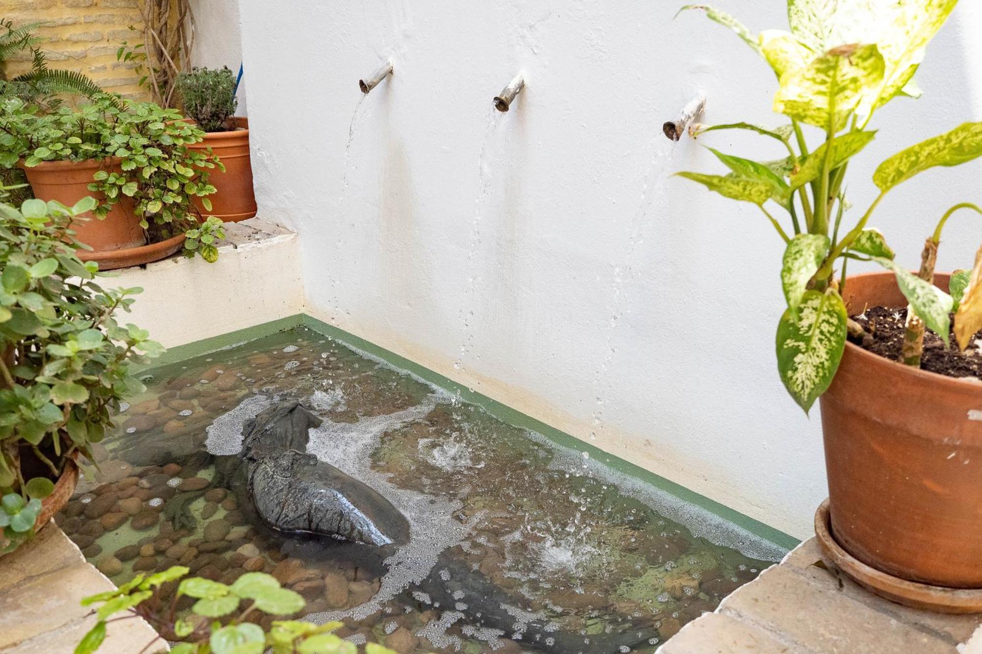 La Casa 1832 Boutique Bed and Breakfast Sanlúcar de Barrameda Εξωτερικό φωτογραφία